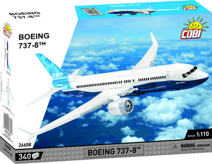 Boeing 737-8 Passenger Jet