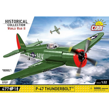P-47 Thunderbolt Plane