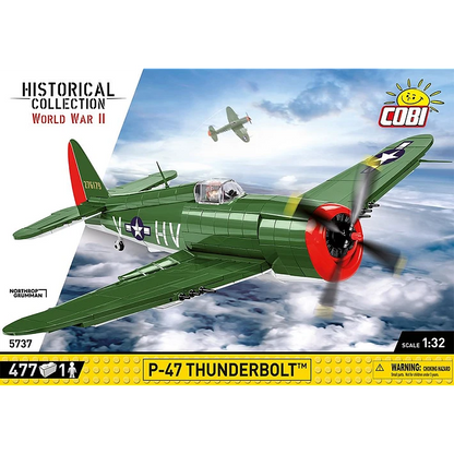 P-47 Thunderbolt Plane
