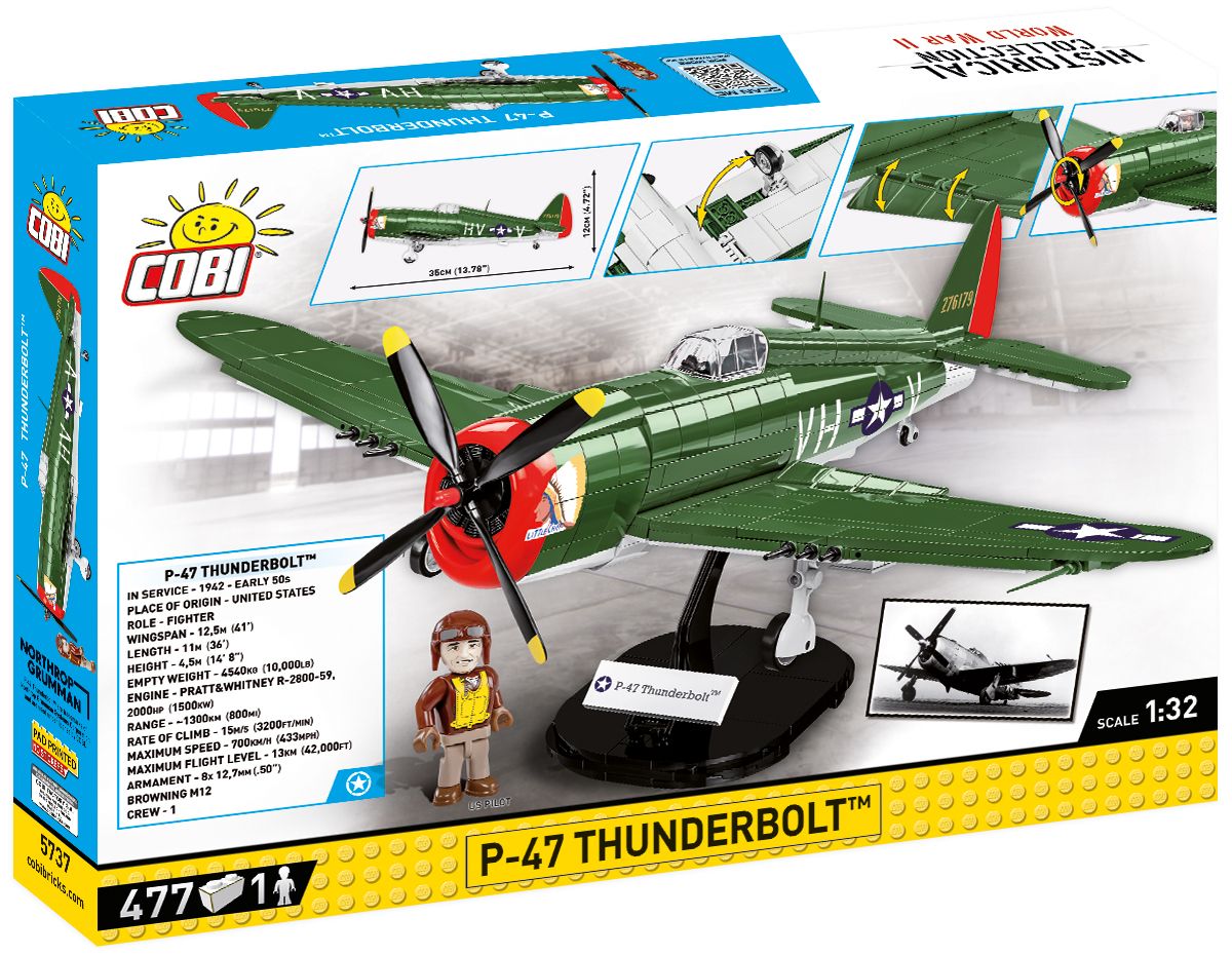 P-47 Thunderbolt Plane