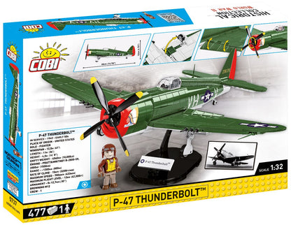 P-47 Thunderbolt Plane
