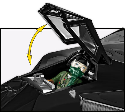 F117 Nighthawk